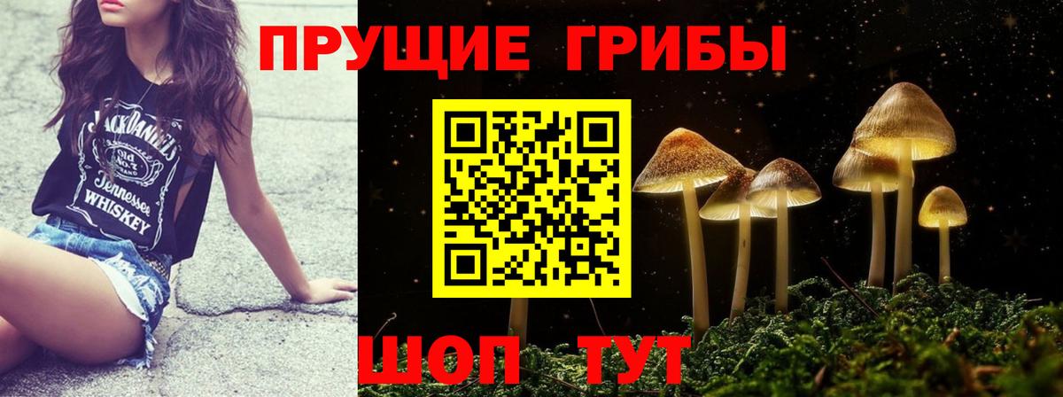 Псилоцибиновые грибы Magic Shrooms  Вход с VPN  Дивногорск 
