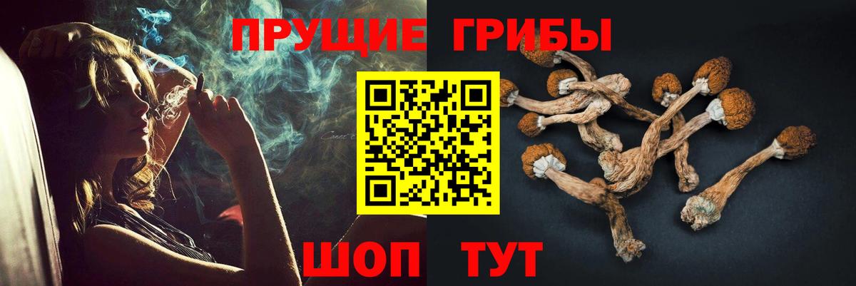 Галлюциногенные грибы GOLDEN TEACHER Дивногорск